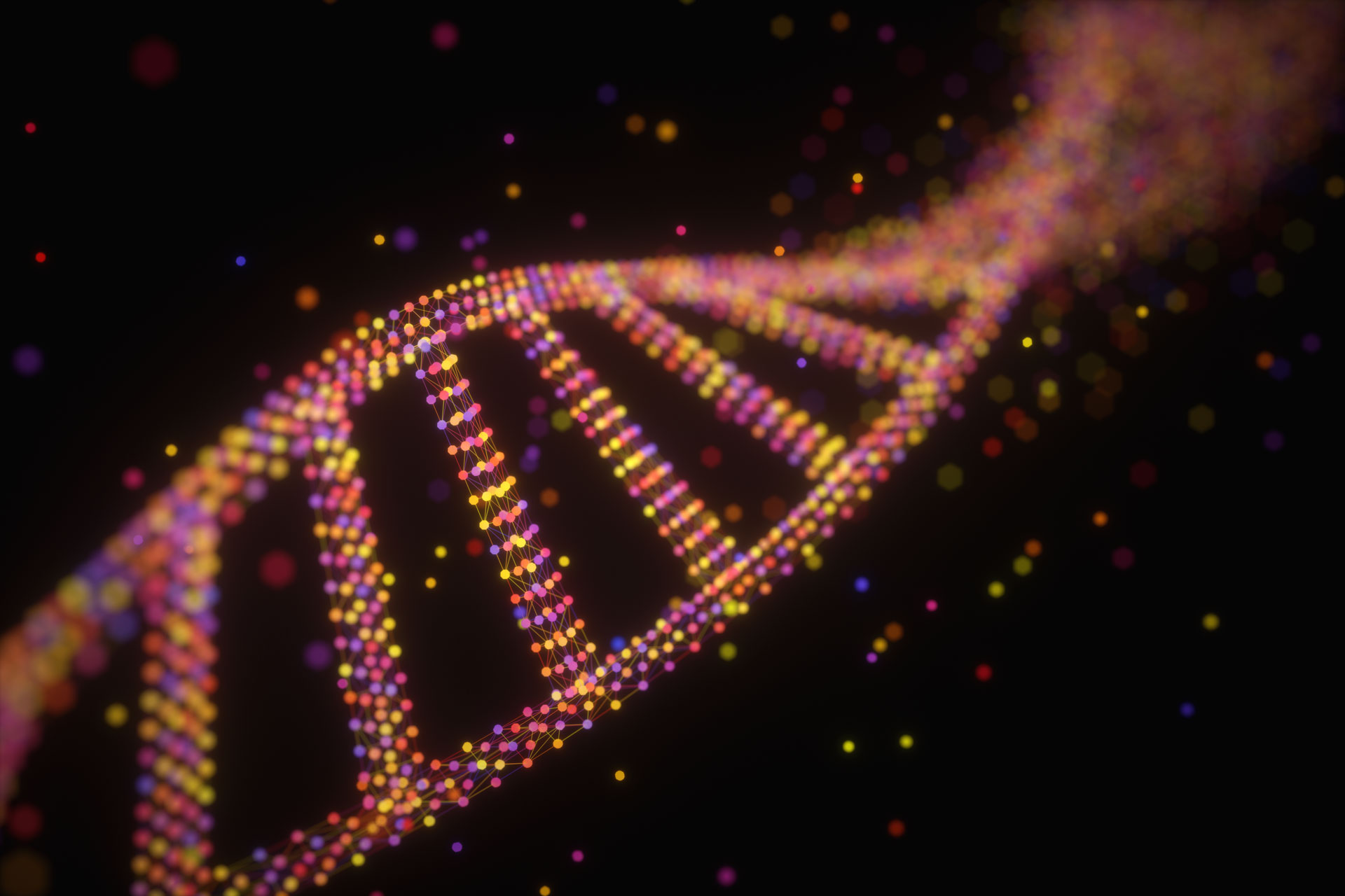 Phospholipid Nanotubes: Size & Stability